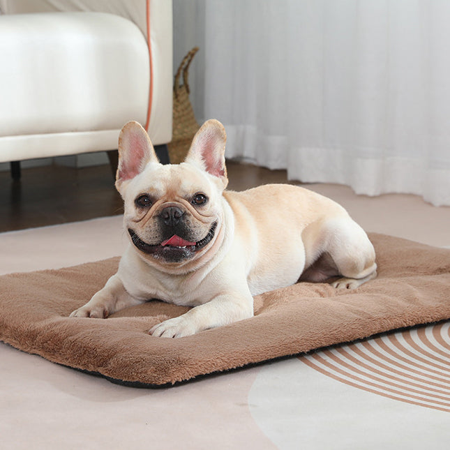 Pet Warmth Mat and Blanket